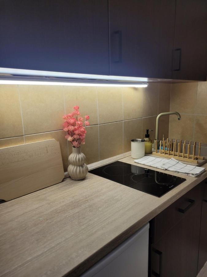 Apartament Indira Vendeghaz Nyíregyháza Zewnętrze zdjęcie